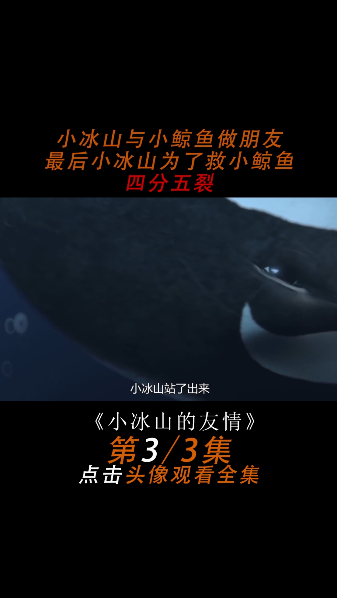小冰山与小鲸鱼做朋友,最后小冰山为了救小鲸鱼粉身碎骨