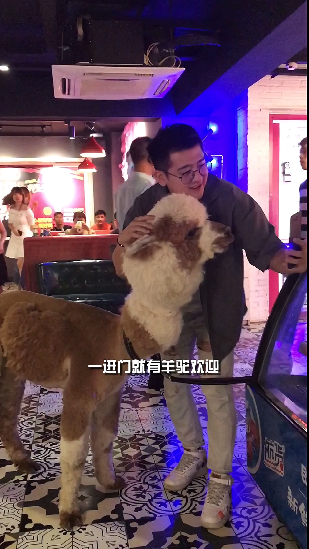 #夏食记#大连有家羊驼站在门口迎宾的烧烤餐厅!