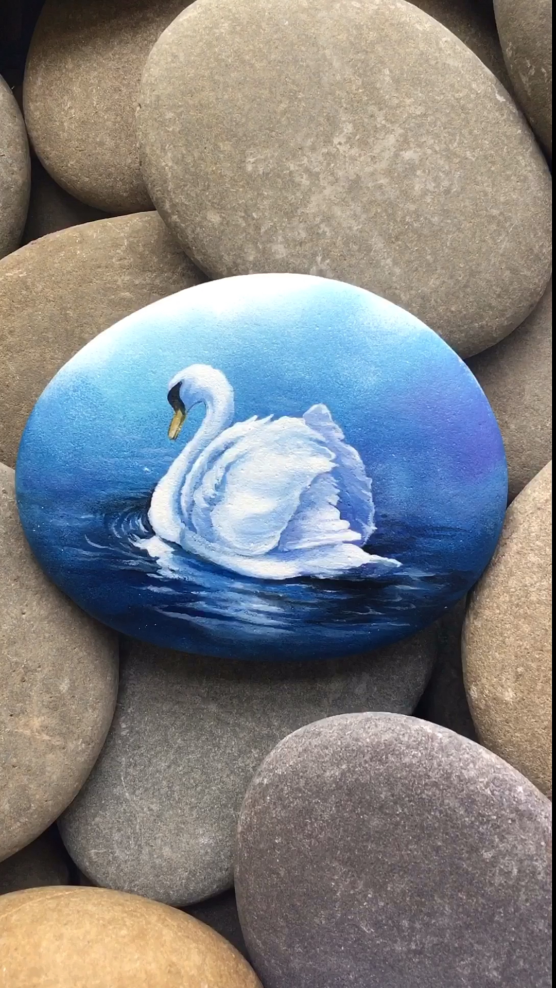 #绘画#一只美丽的白天鹅，漂浮在水面～捡块石头一起画吧。