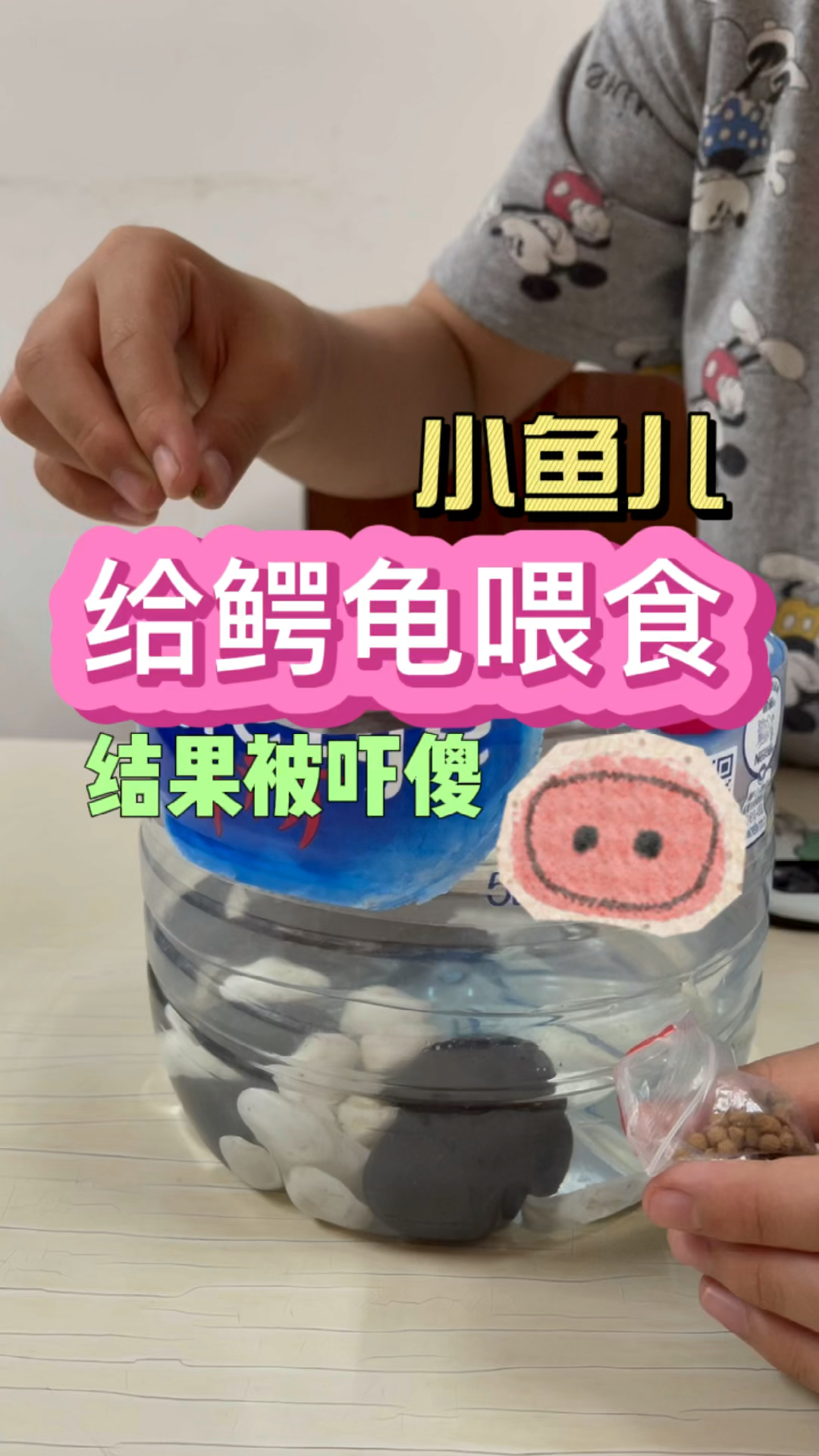 #小学生#小鱼儿是多久没给家里的鳄龟喂食了,才会看到这一瞬间