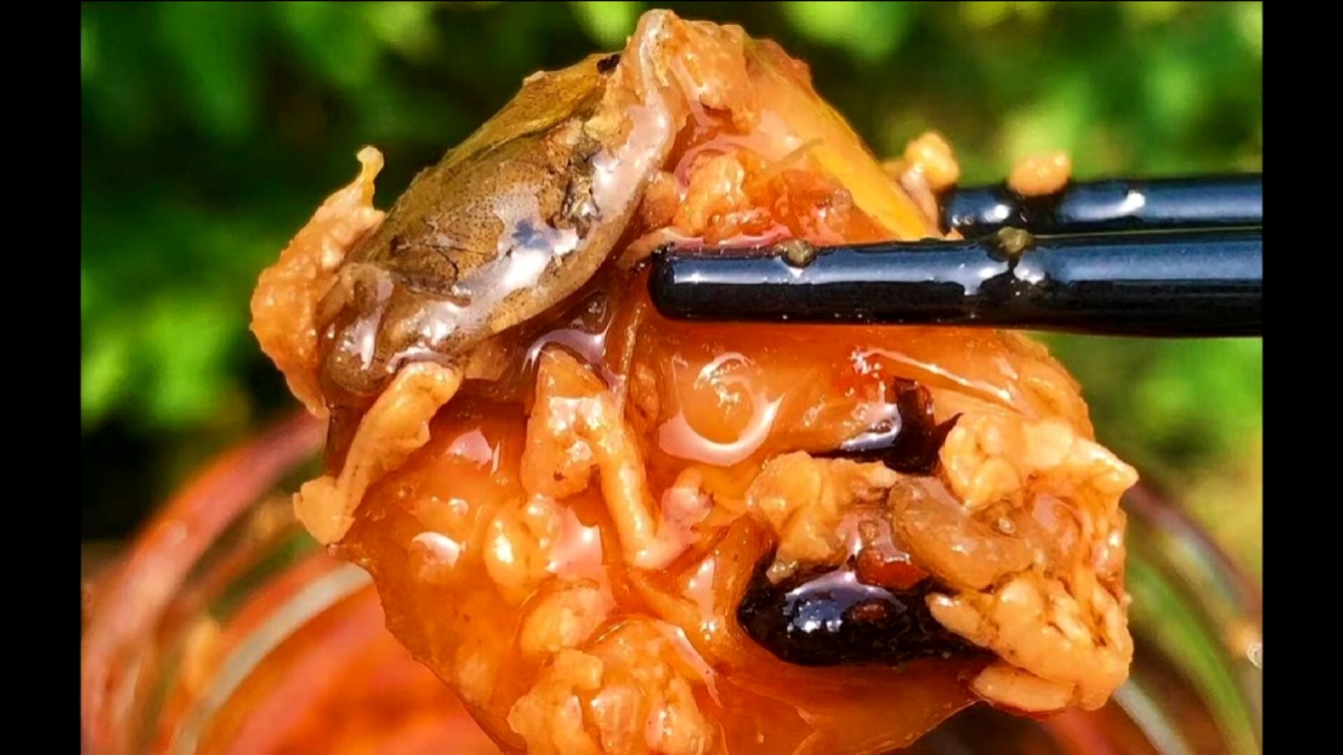 #家乡特色美食#草鱼这样做色泽金黄香而不腥鲜辣下饭家乡特色美食婺源酒糟鱼