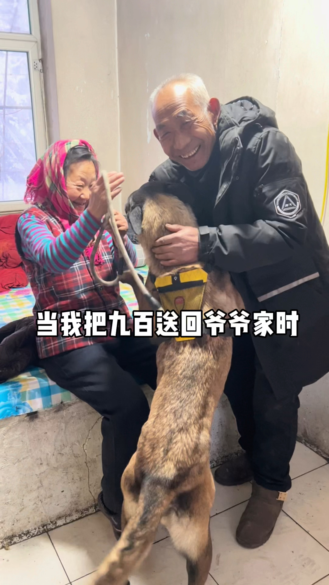 #破壳计划#当我把九百送回爷爷奶奶家时