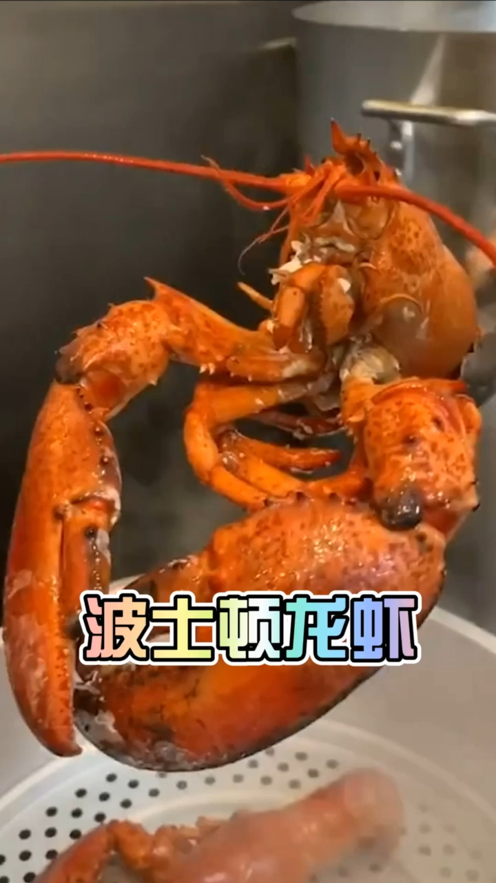 清蒸波士顿大龙虾,来一顿30秒停不下来的龙虾饕餮盛宴