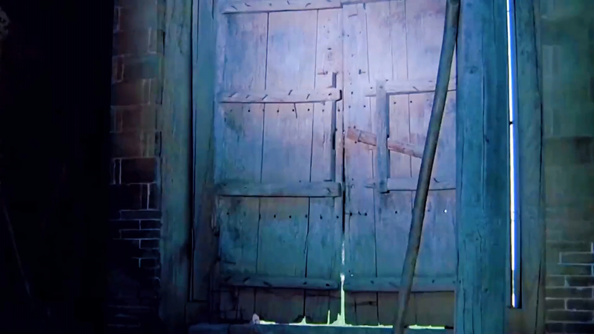 今天总是看到花姑娘