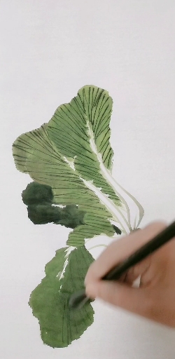 大白菜的画法,用墨要讲究