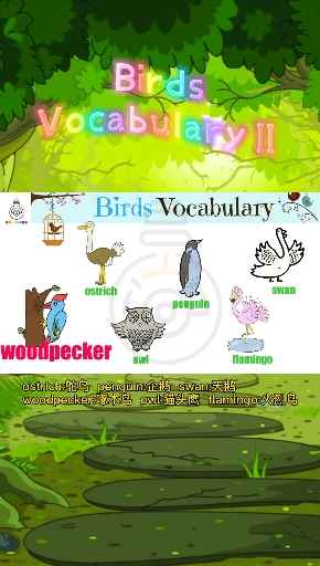 #幼少儿英语#磨耳朵之BirdsVocabulary2