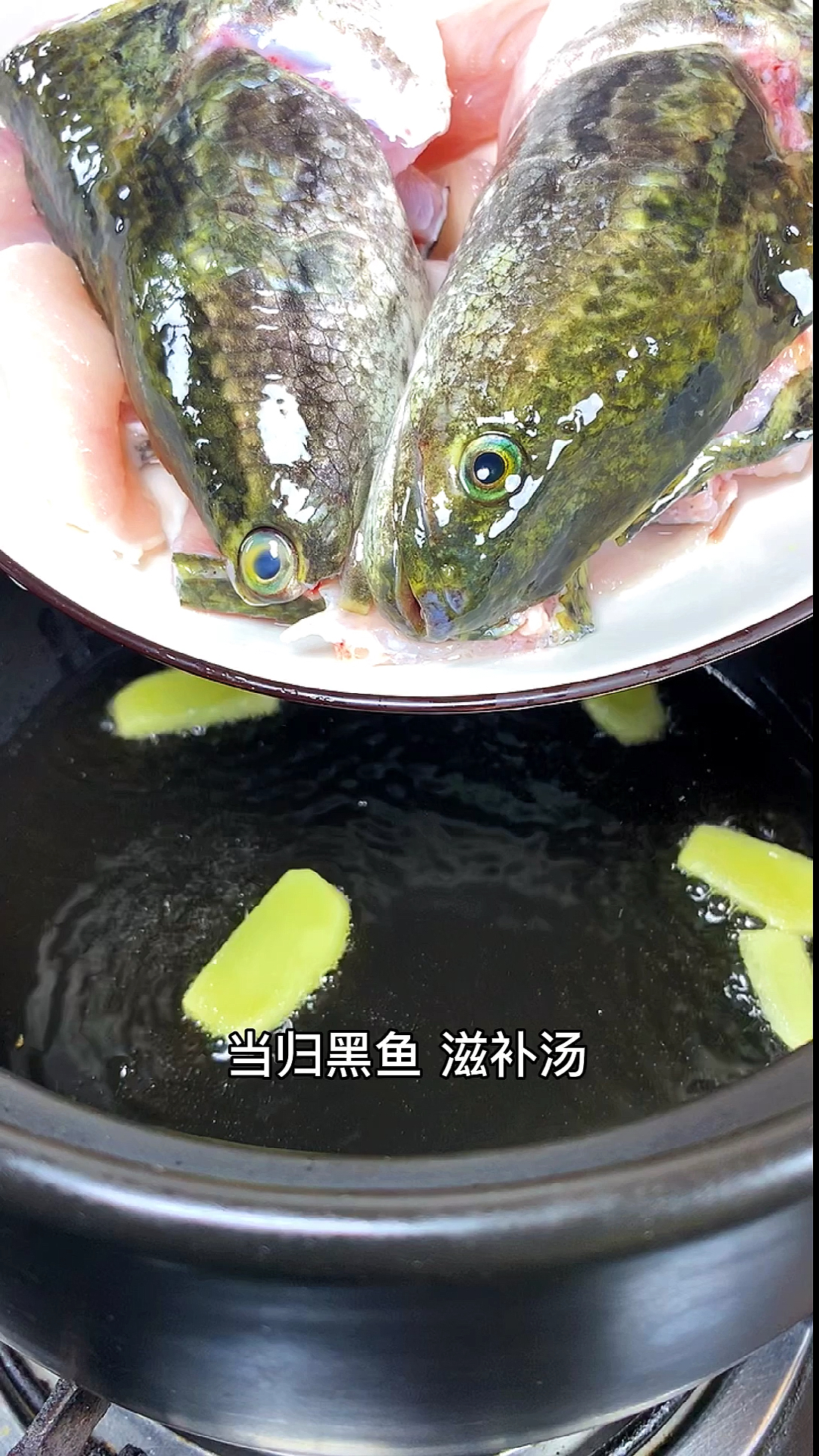#家常美食#当归黑鱼滋补汤..