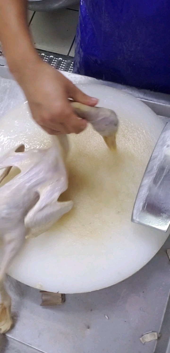 想吃鸭嘴吗,看看怎么样切鸭嘴的