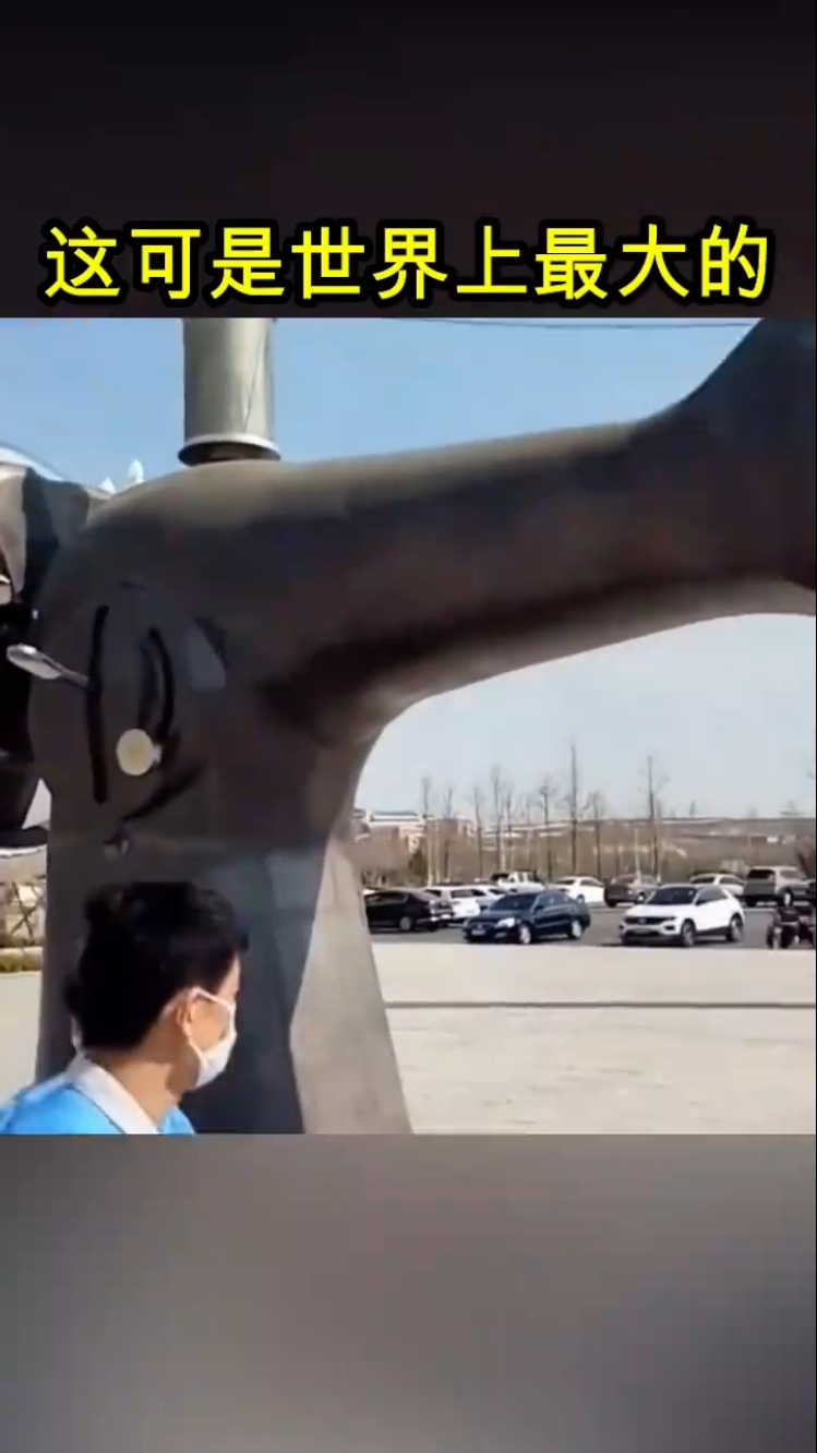 #大千世界无奇不有。#这可是世界上最大的