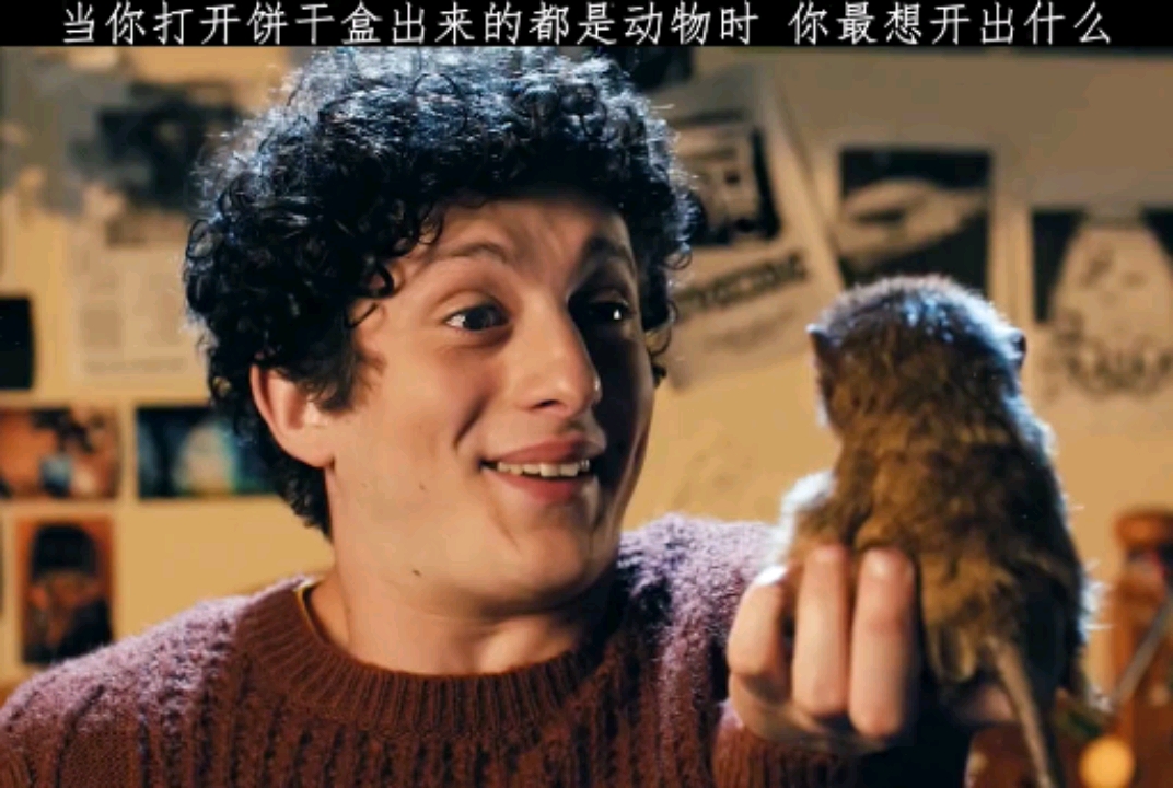 当你打开饼干盒出来的都是动物时,你最想干的是什么?
