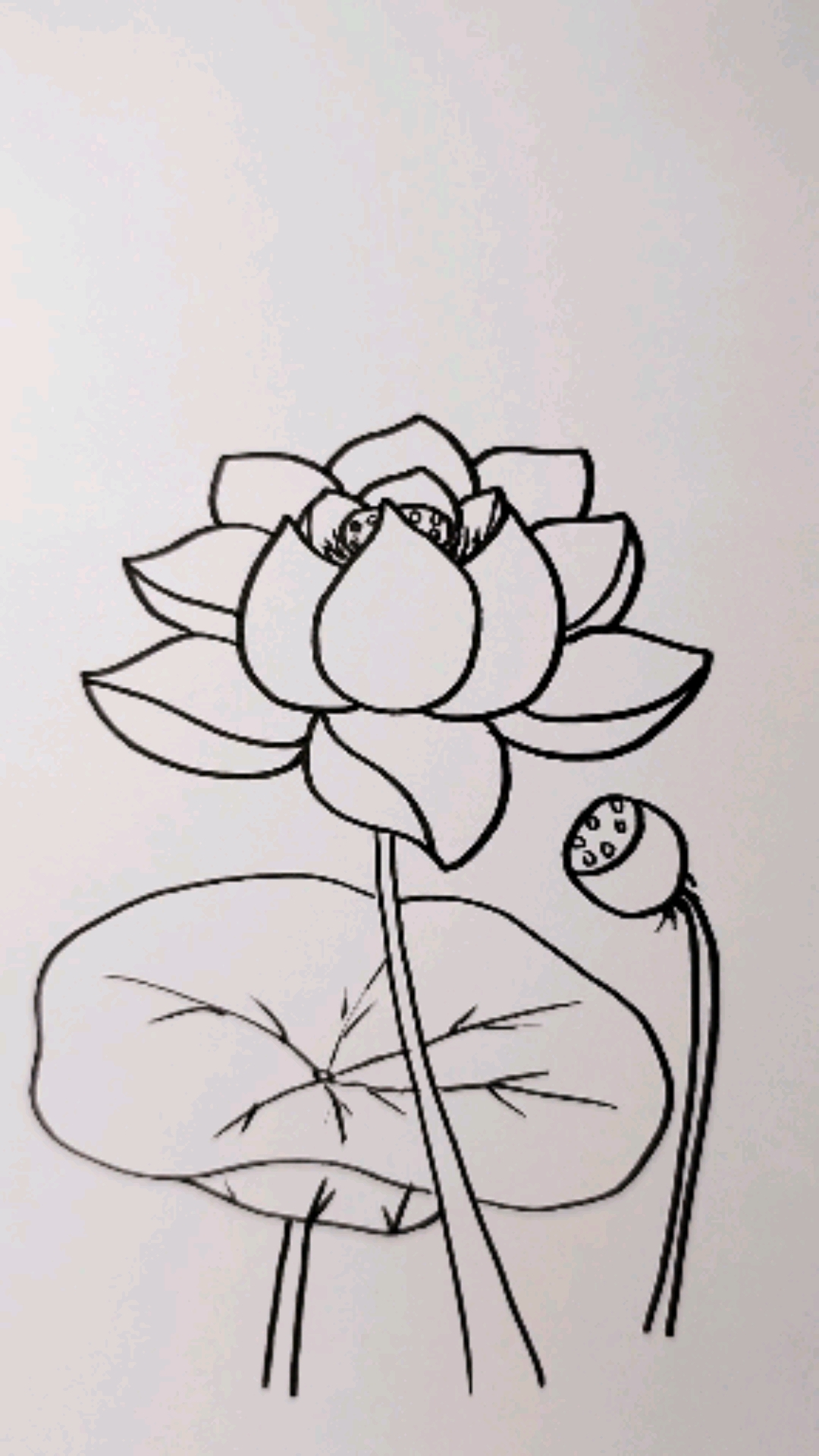 简单的荷花简笔画