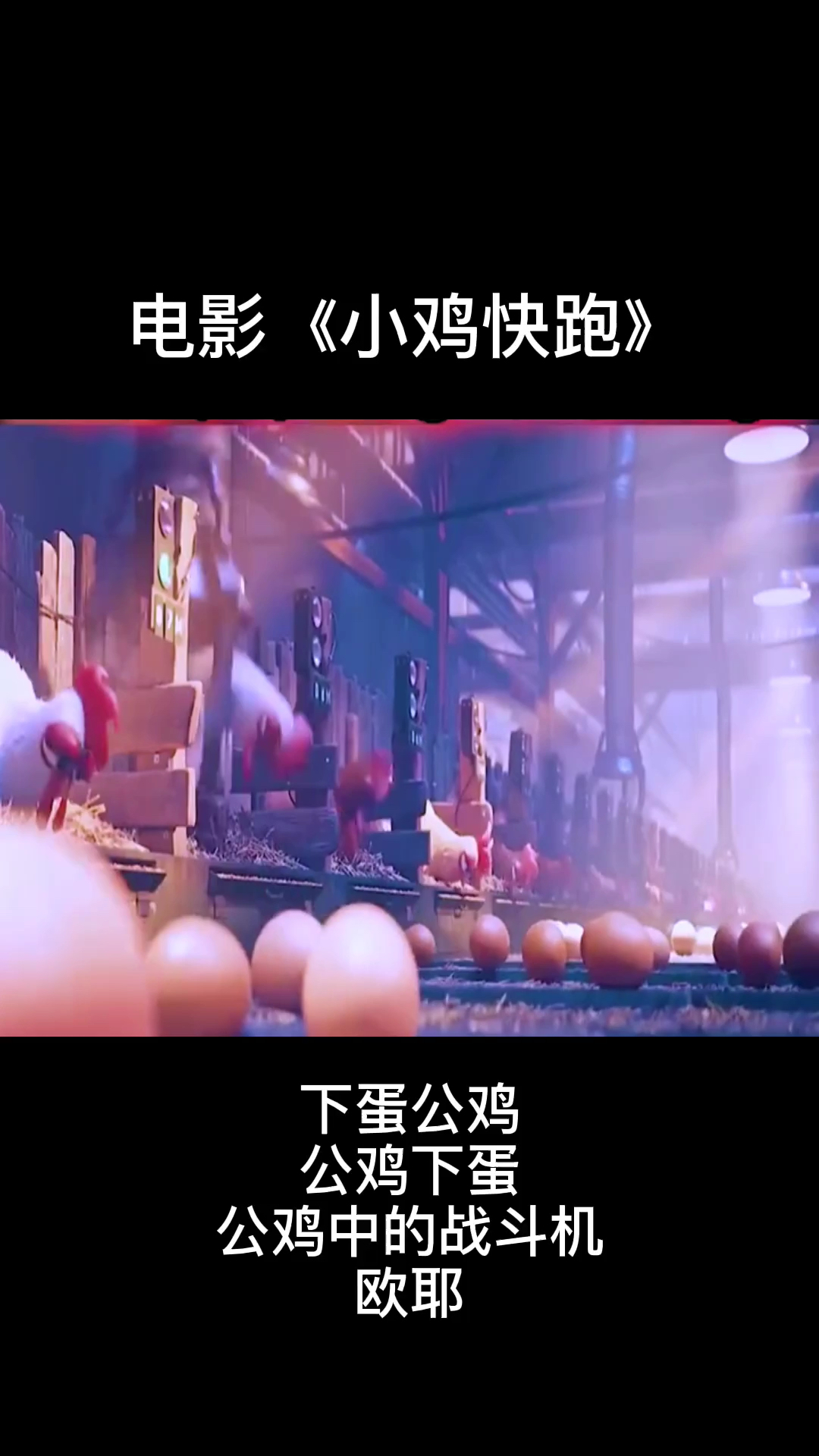 #好看电影#公鸡下蛋、下蛋公鸡、公鸡中的战斗机、欧耶