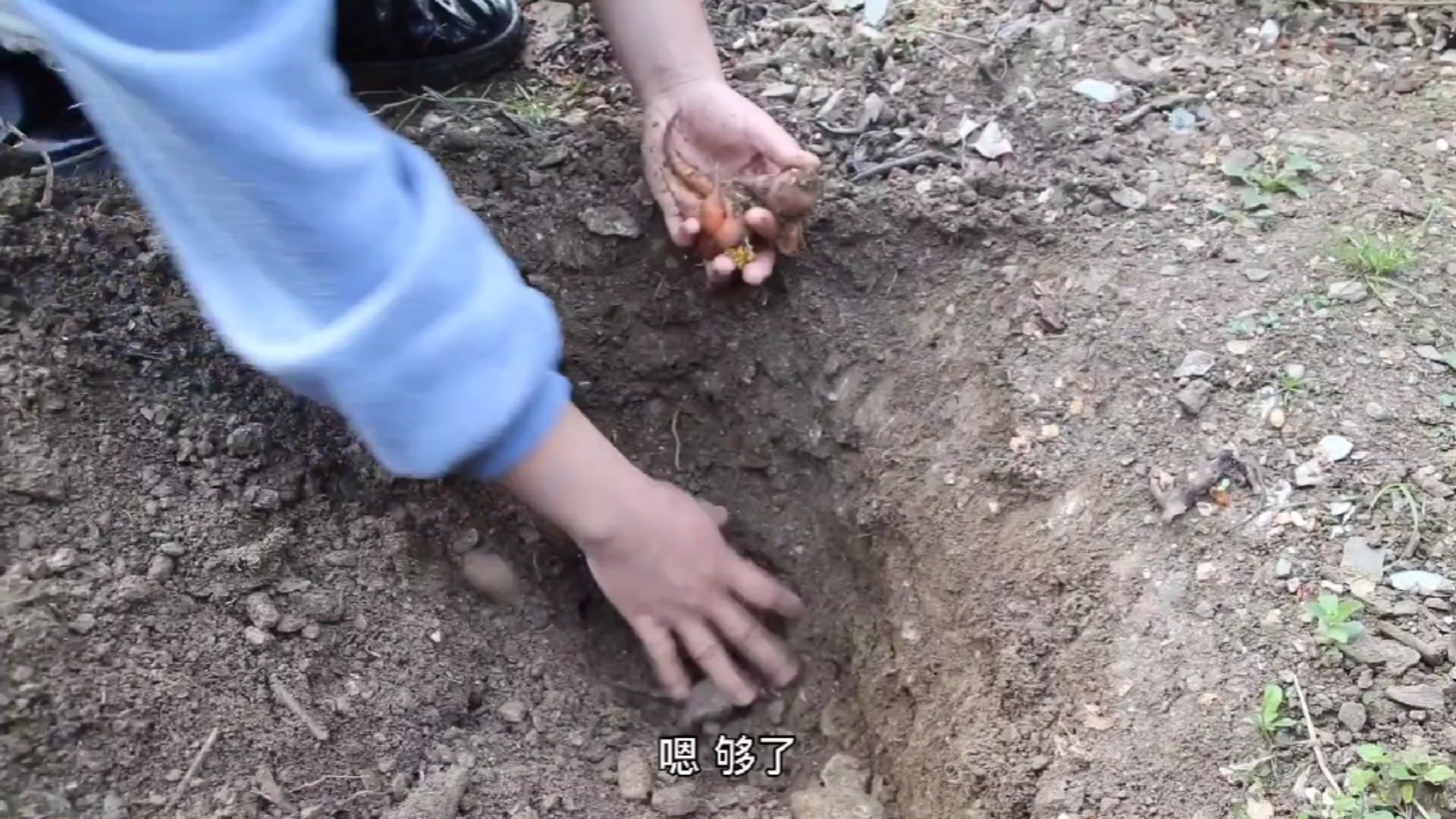 #乡村生活#两个人的山居晚餐,照烧鸡肉饭,色香味!(二)