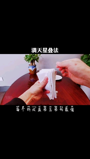 #口布折花#满天星