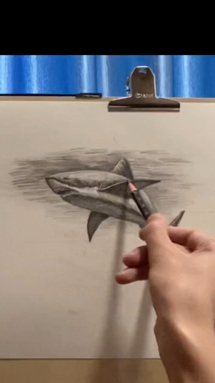#素描#画个鲨鱼