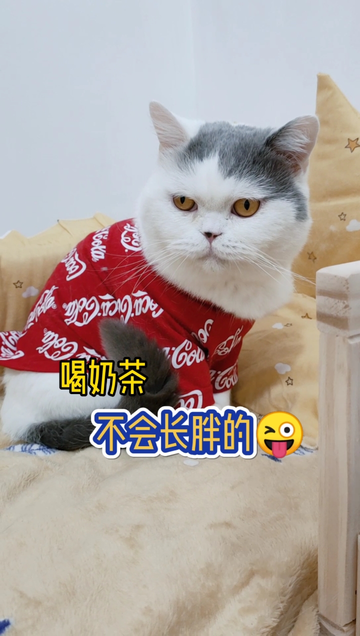 小坏蛋,我差点就信你了!