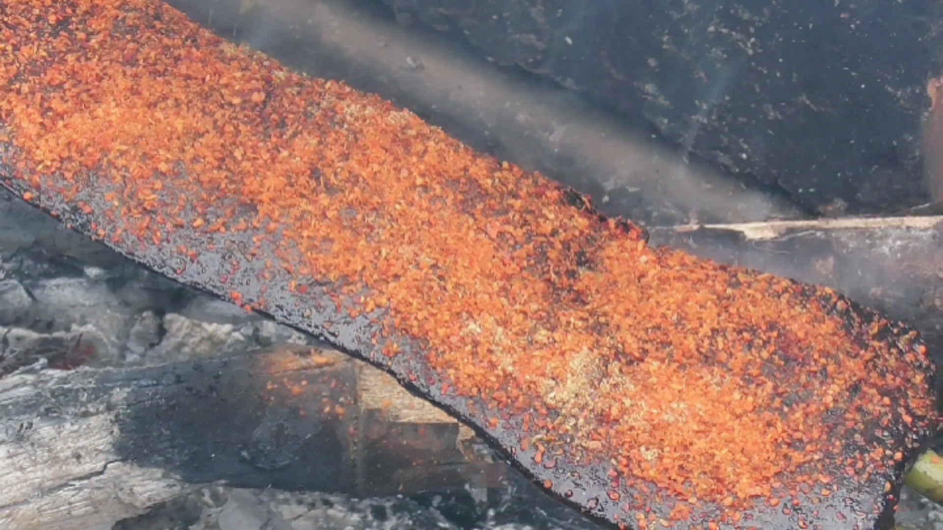 #烧烤#乡下简单吃个烤猪横脷