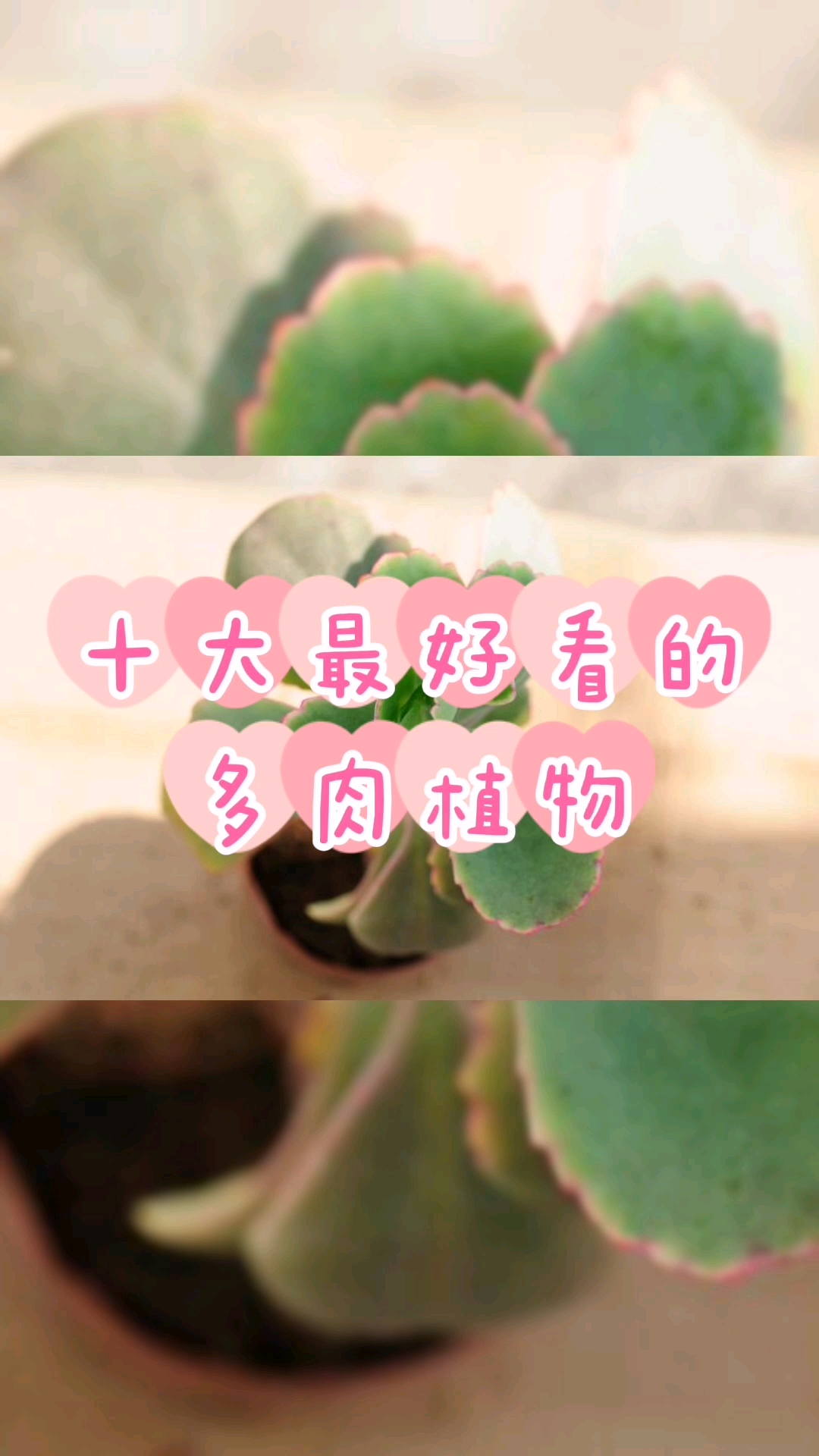 分享视频
