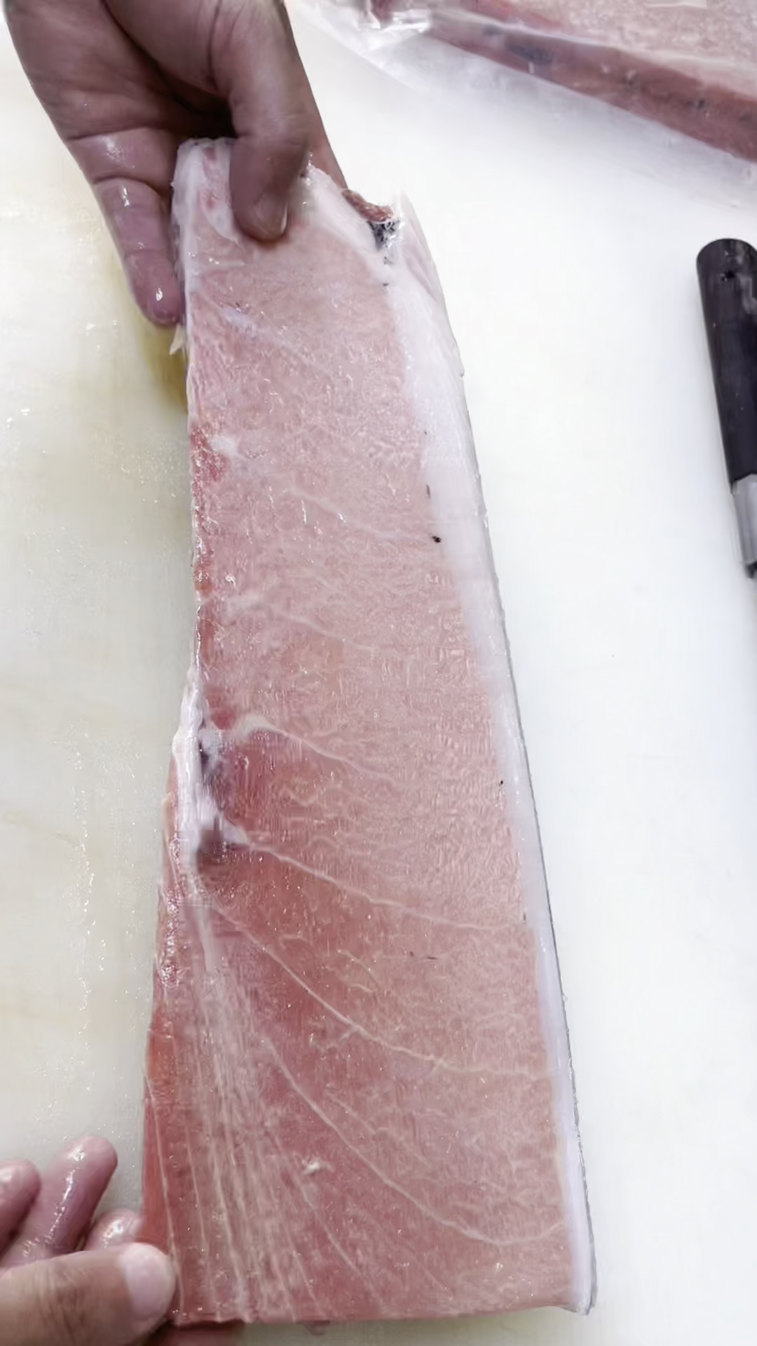 #金枪鱼#金枪鱼大腹和中腹分解,大家有喜欢的吗?