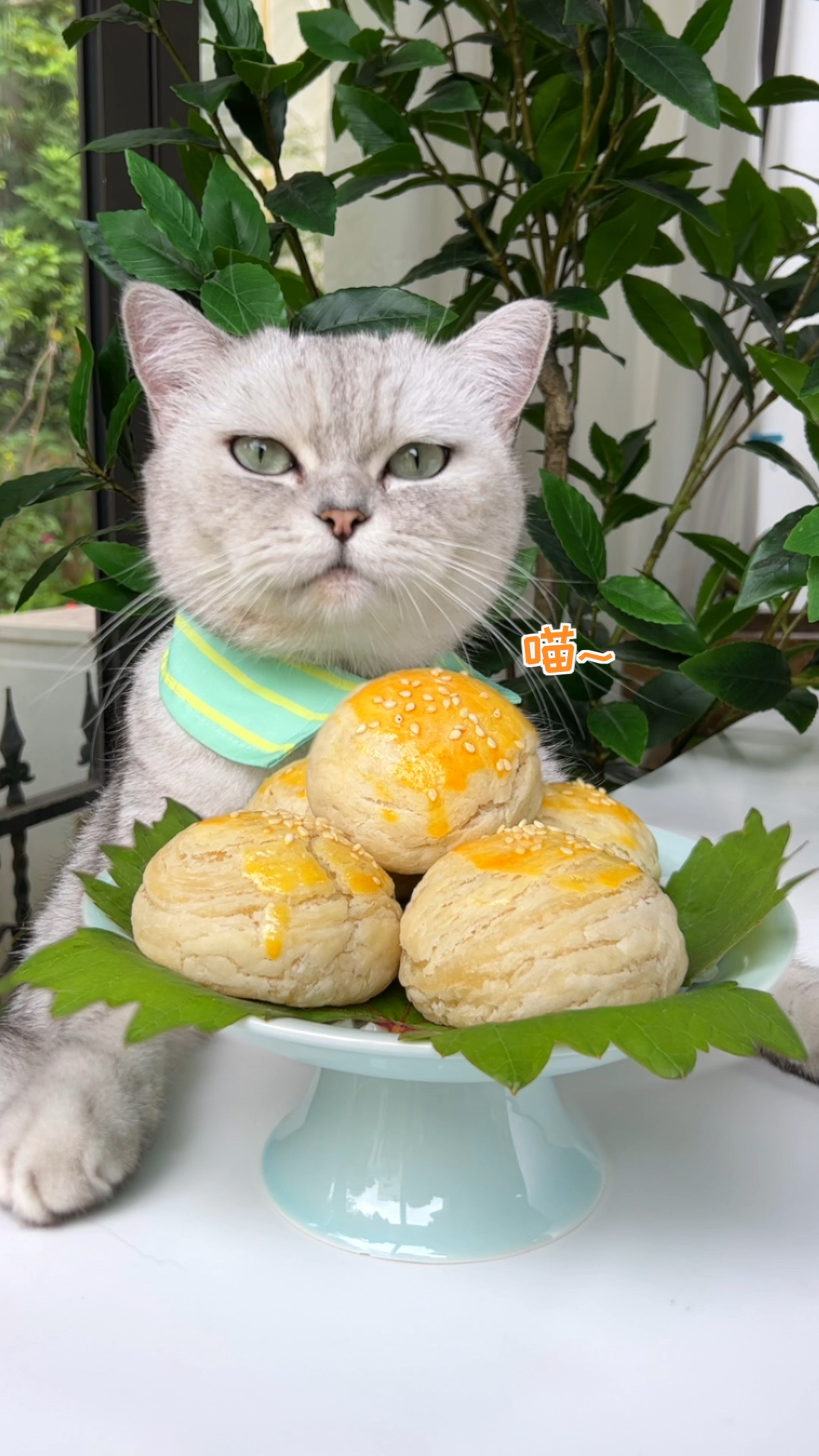 #自制美食#猫王：只要一包榨菜和手抓饼，就能做出酥酥脆脆的榨菜鲜肉酥饼