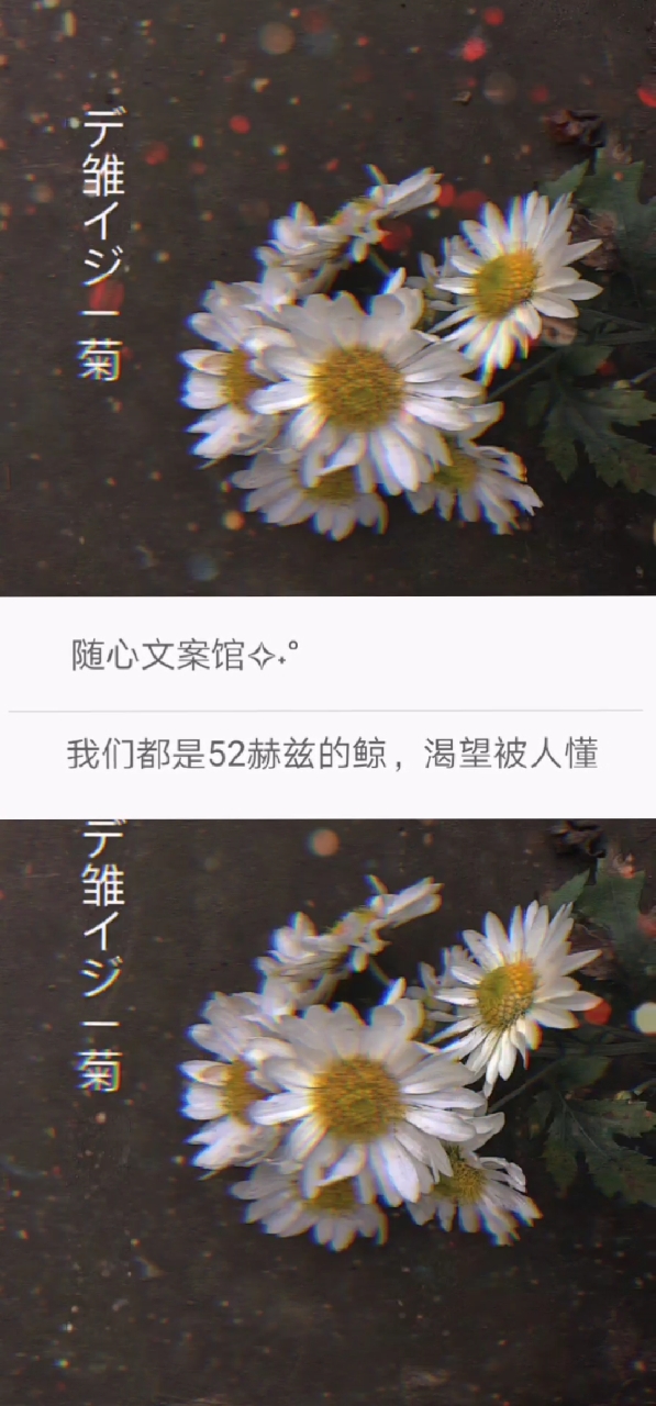 我们都是52赫兹是鲸,渴望被人懂,却从未得到过真正的理解