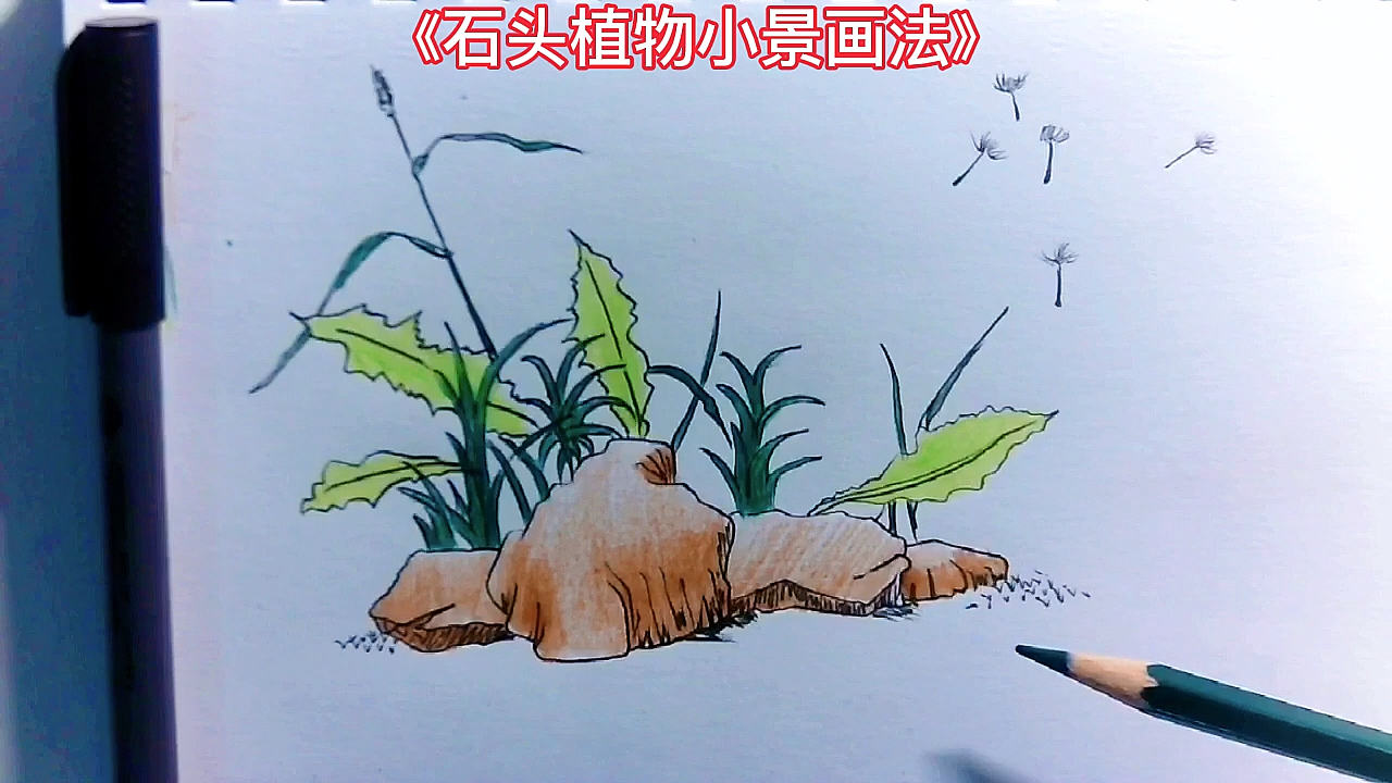 #简笔画#简笔画儿童画大全.手绘石头植物小景画法,在家就能学习画画。