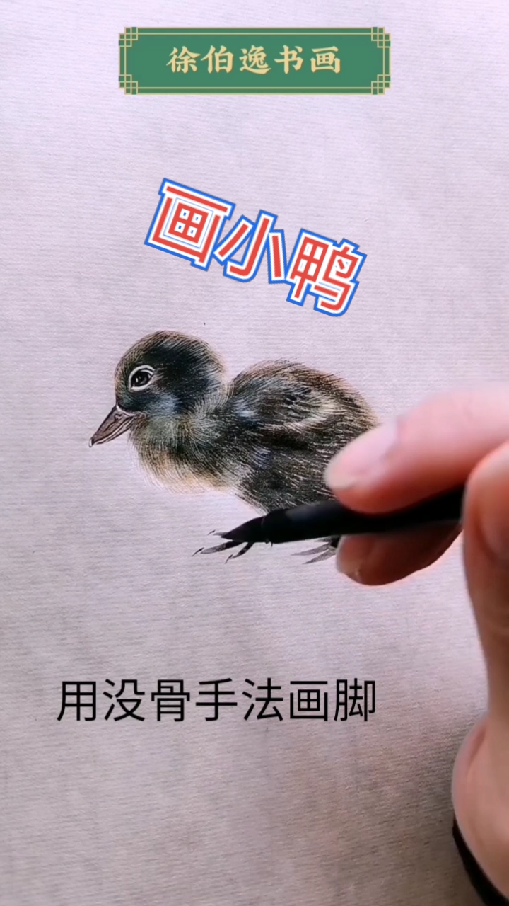 #徐伯逸书画#画一只可爱的小鸭子