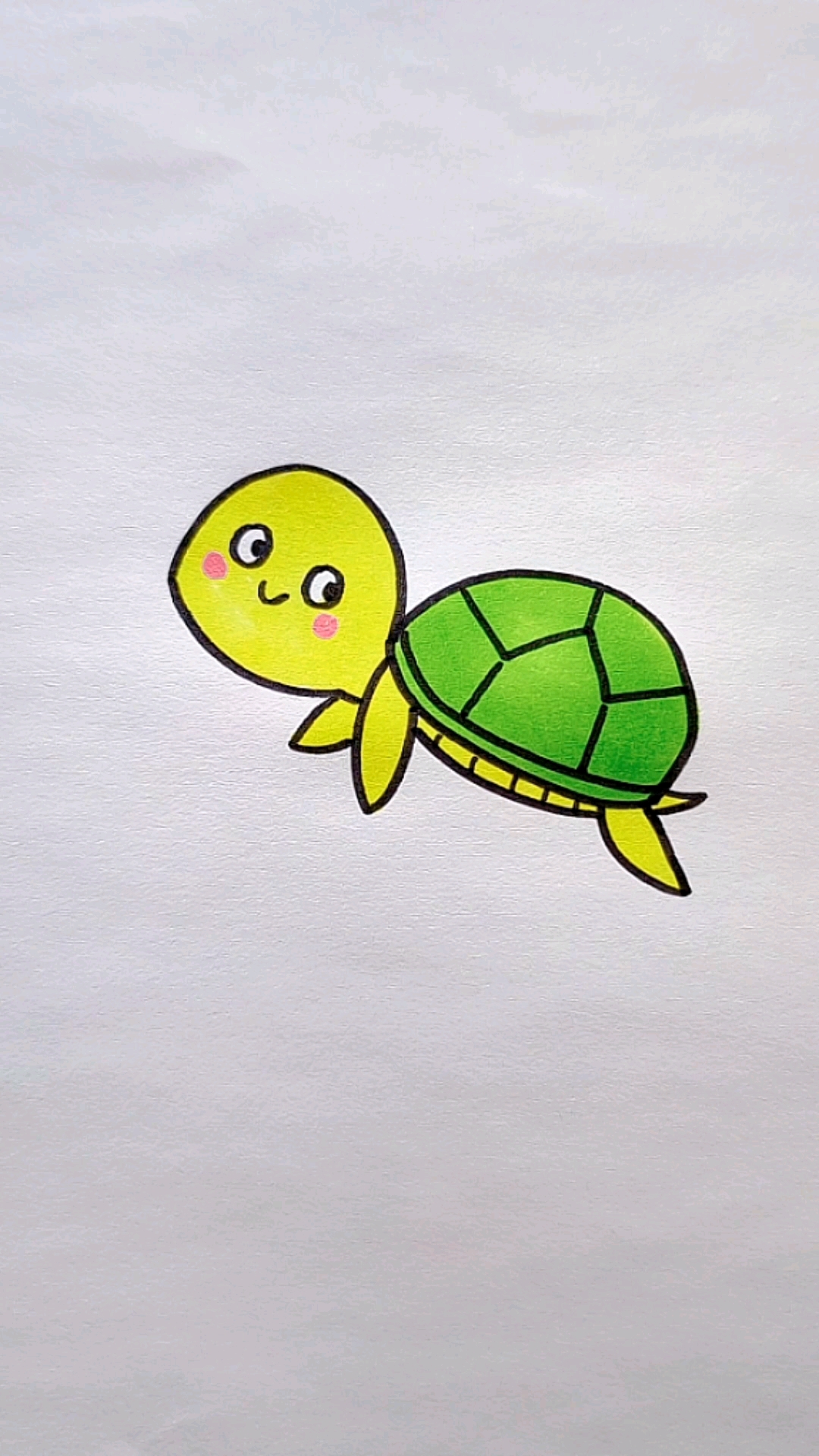 小乌龟简笔画