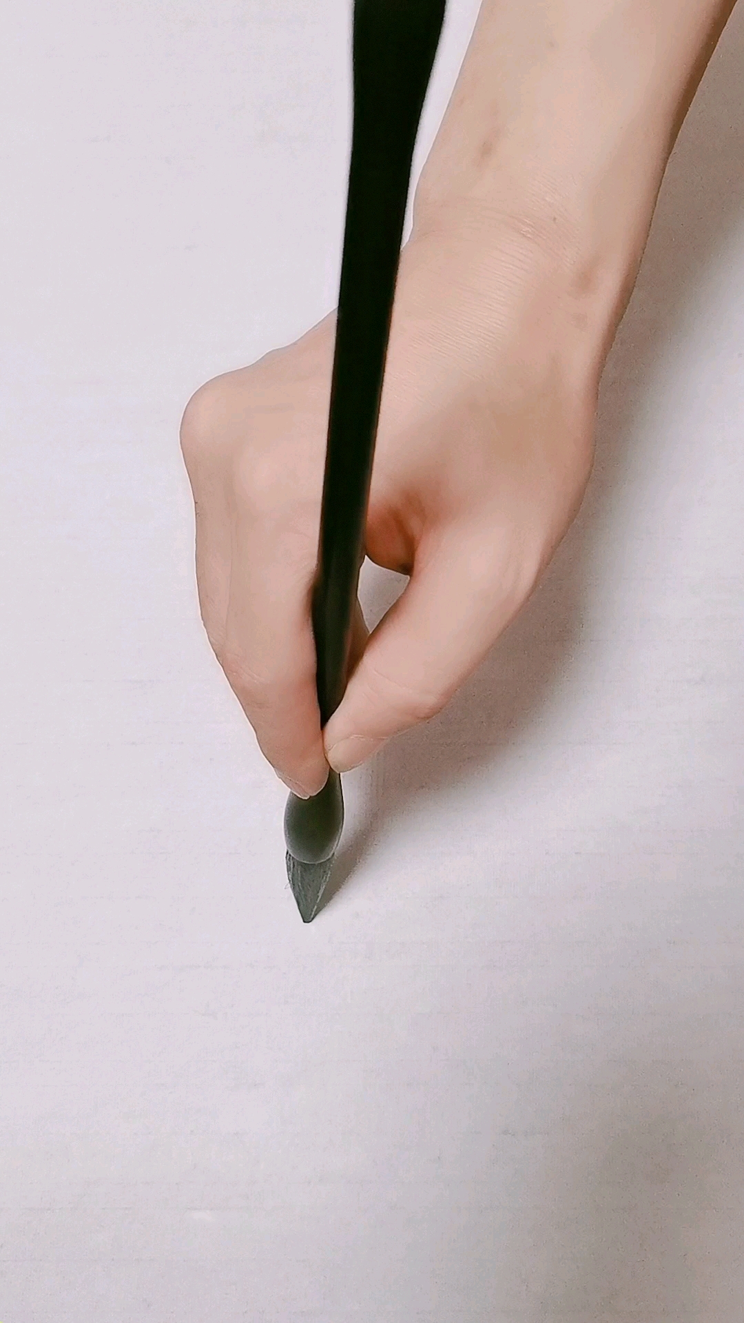 #我要上热门#皮皮虾跟我走画法