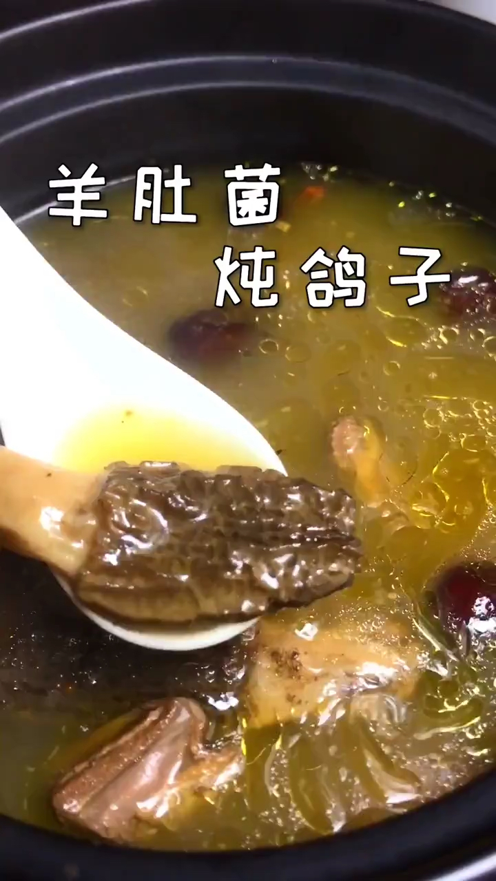 #羊肚菌#羊肚菌炖鸽子制作方法