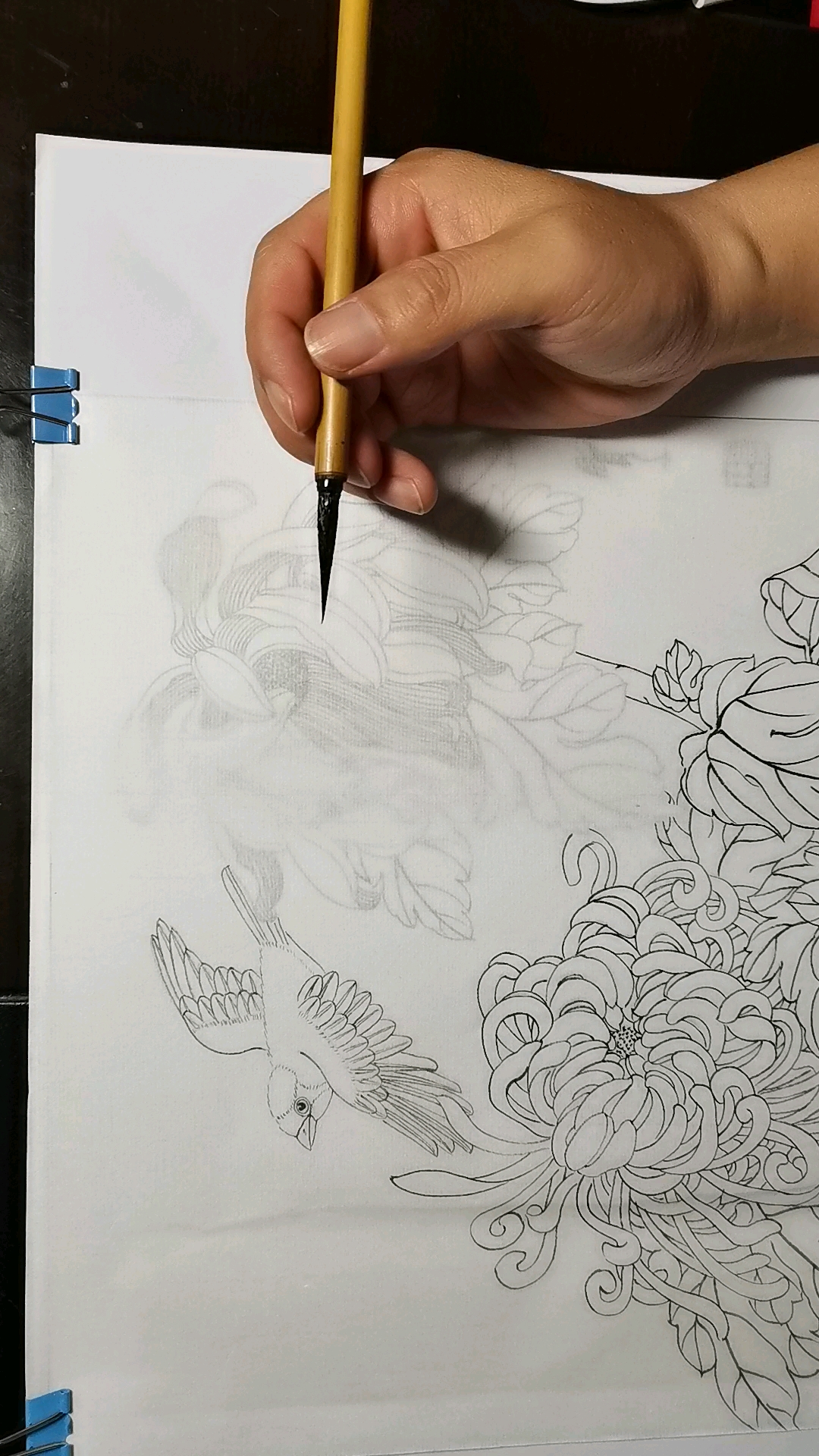 #一看就会的白描画#白描菊花勾线