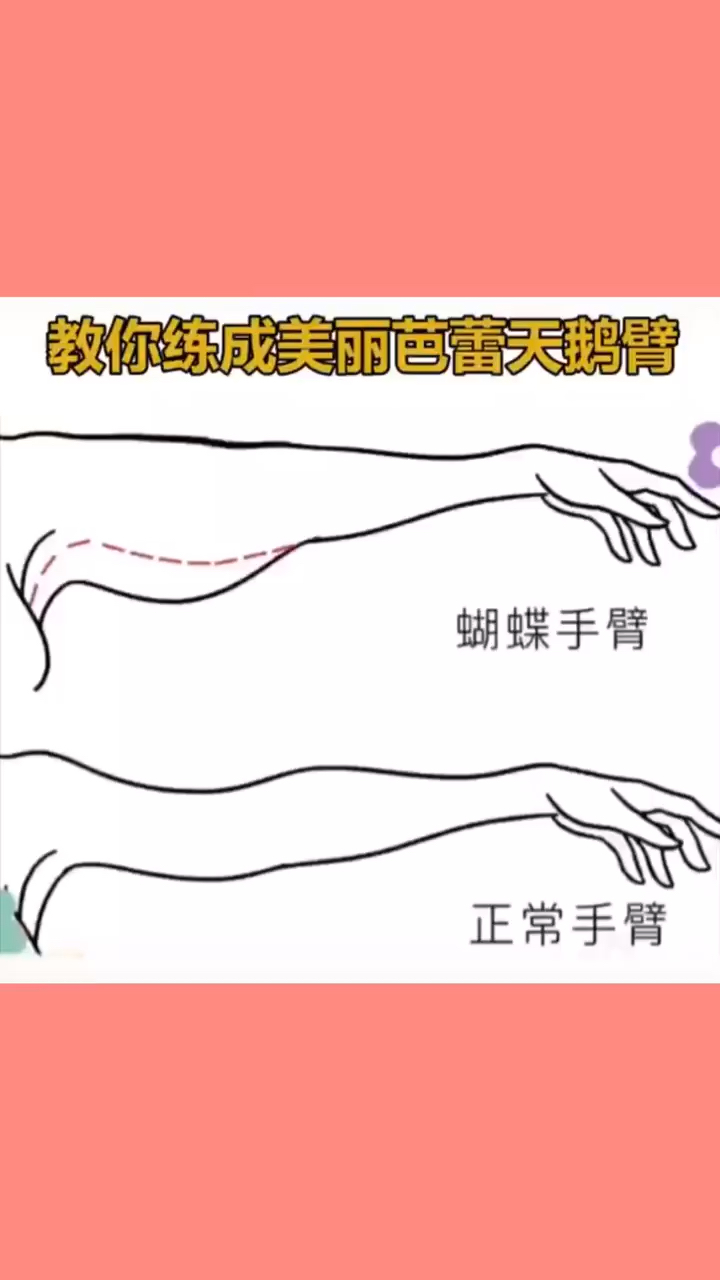教你练出天鹅臂