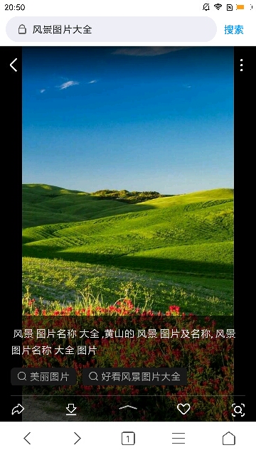 风景区域网红