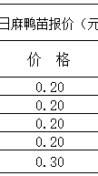 #鸭苗#明日鸭苗报价稳定