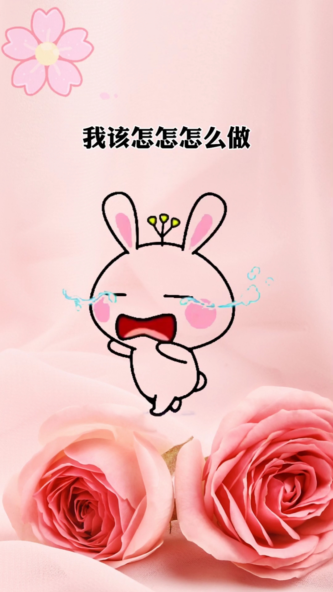 #表情包##百家号萤火打卡#我该怎么做,肉肉才会离开我