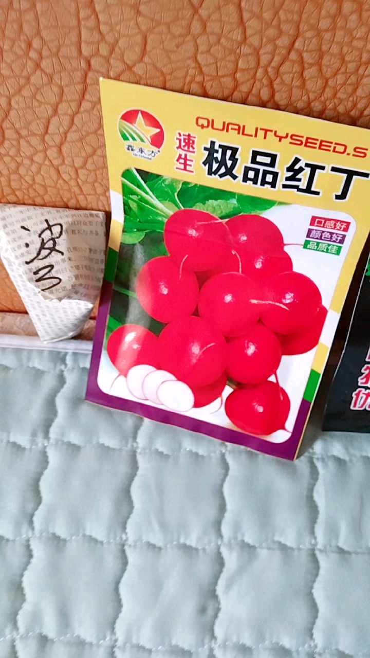 菜籽儿种就当锻炼