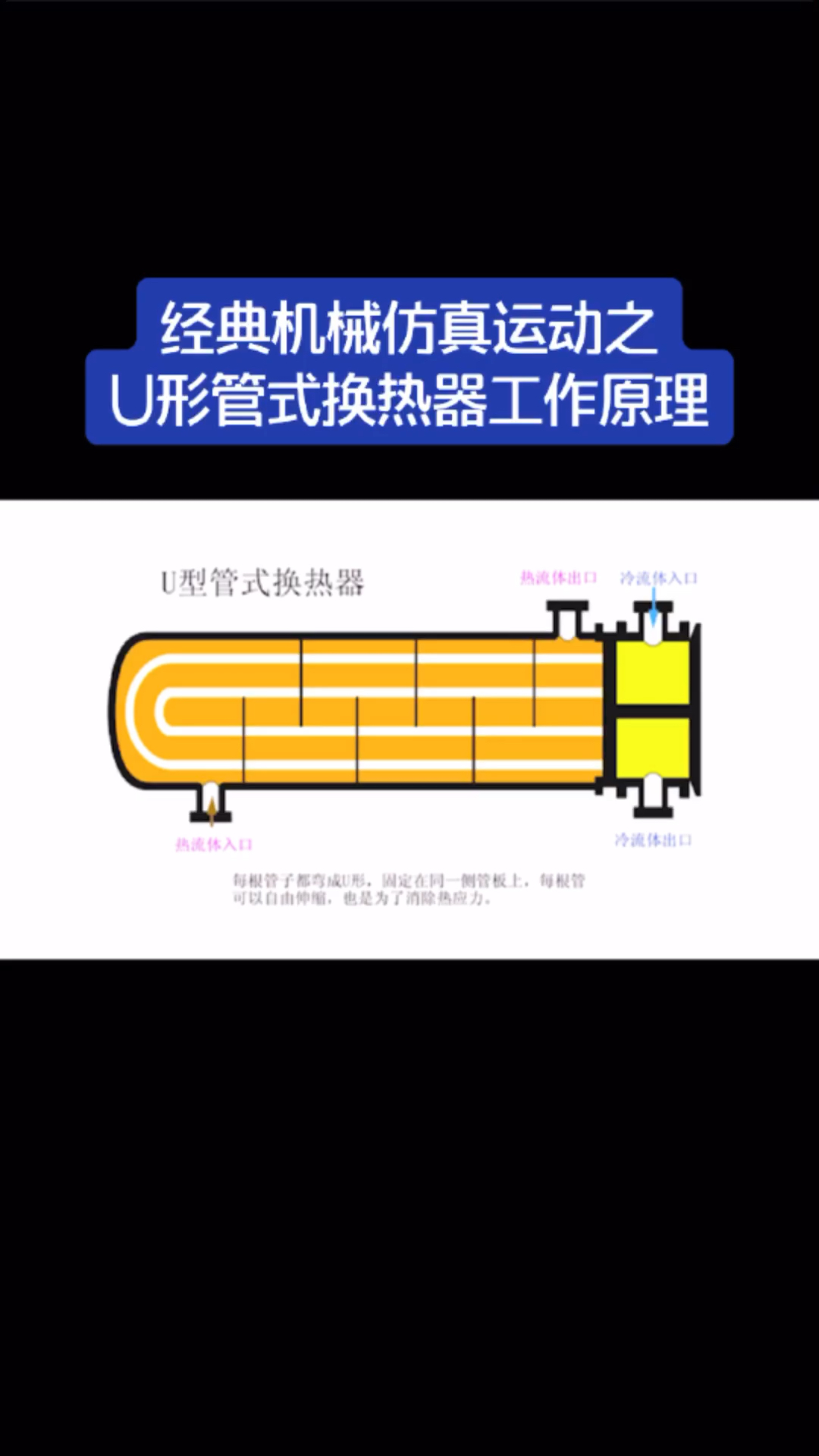 #机械仿真运动#经典机械仿真运动之U形管式换热器工作原理,会则不难,难则不会……
