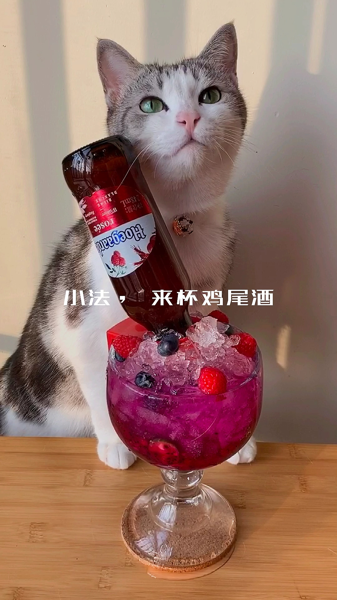 #光盘行动#厨猫自制秋日微醺mojito