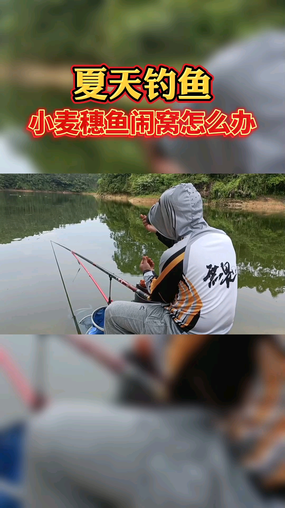 #钓鱼#夏天钓鱼，遇到小麦穗鱼闹窝怎么办？