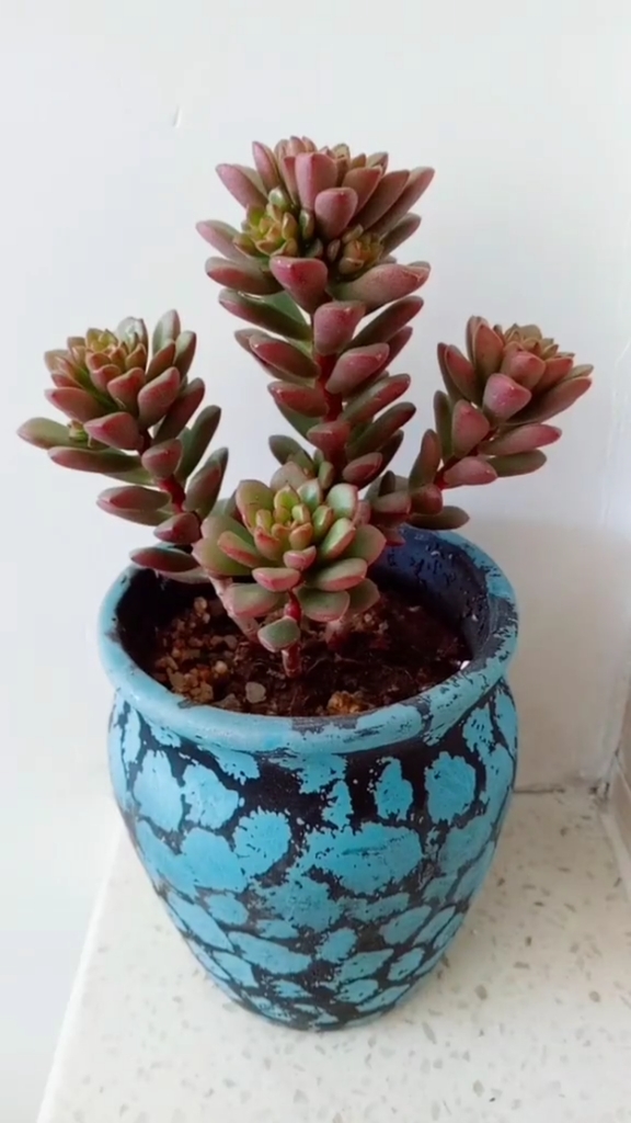 早上好!