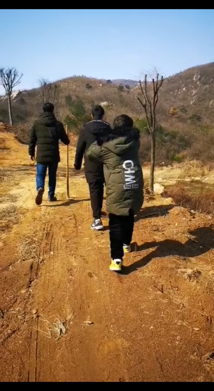 鱼腥草根煮水喝可以消炎。