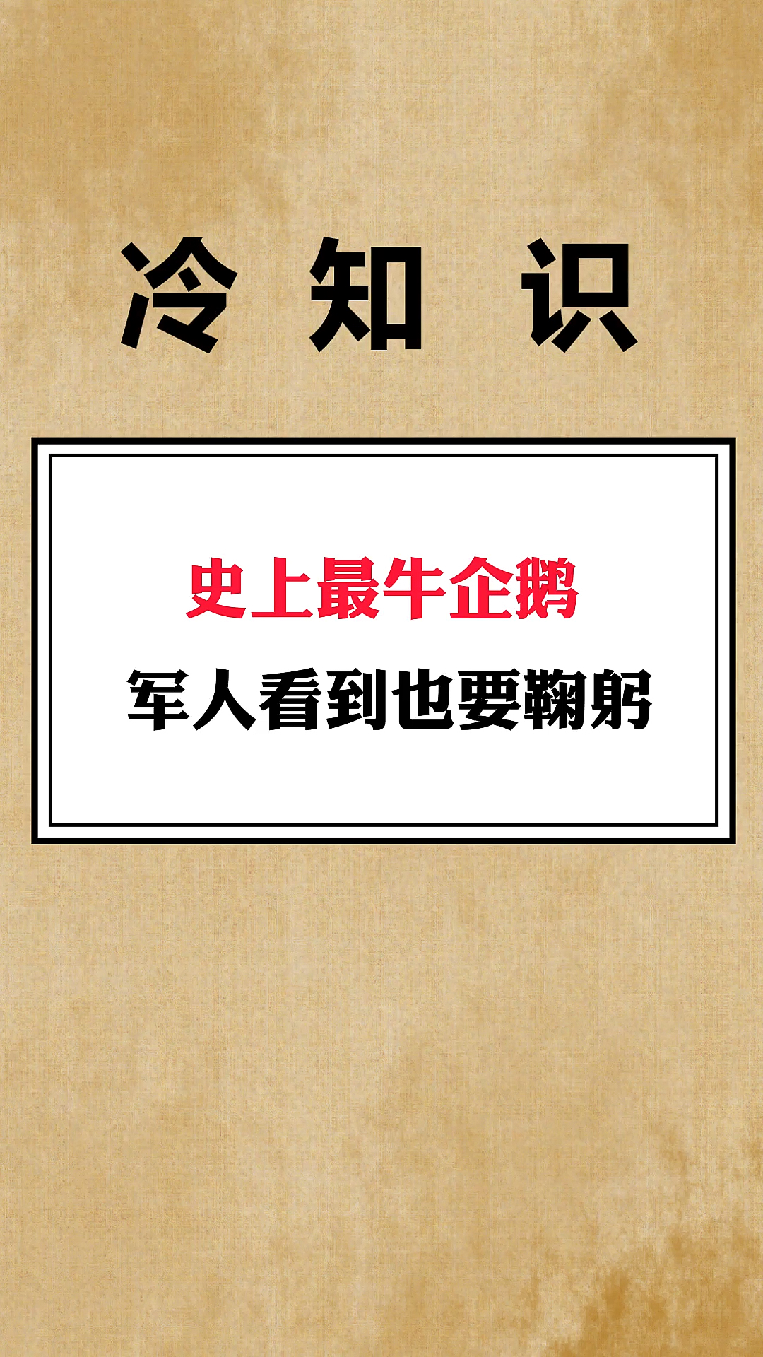 身份连一只企鹅都不如……