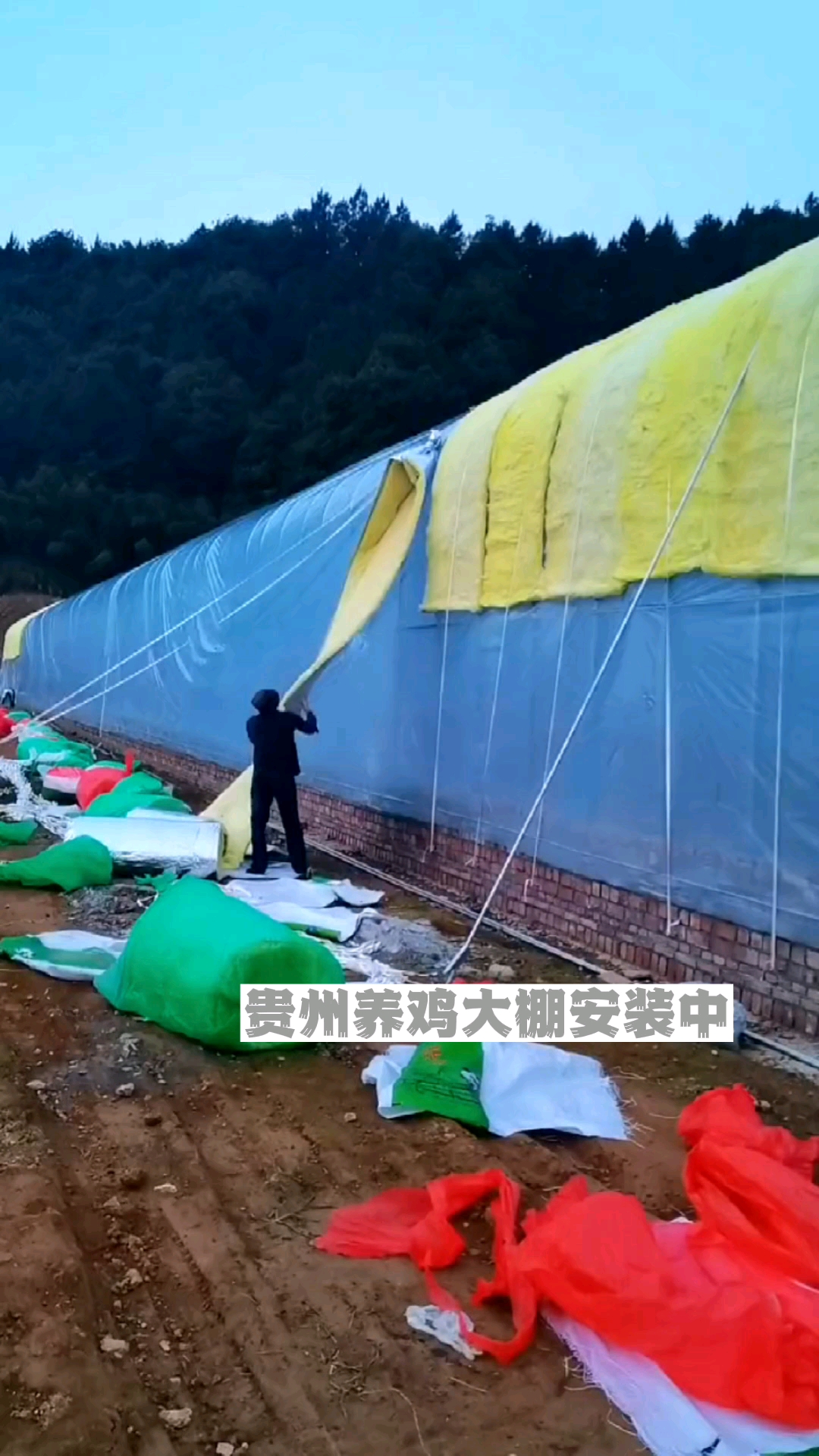 #养鸡大棚#贵州黔西南州5栋养鸡大棚安装中,半个月全部建好。