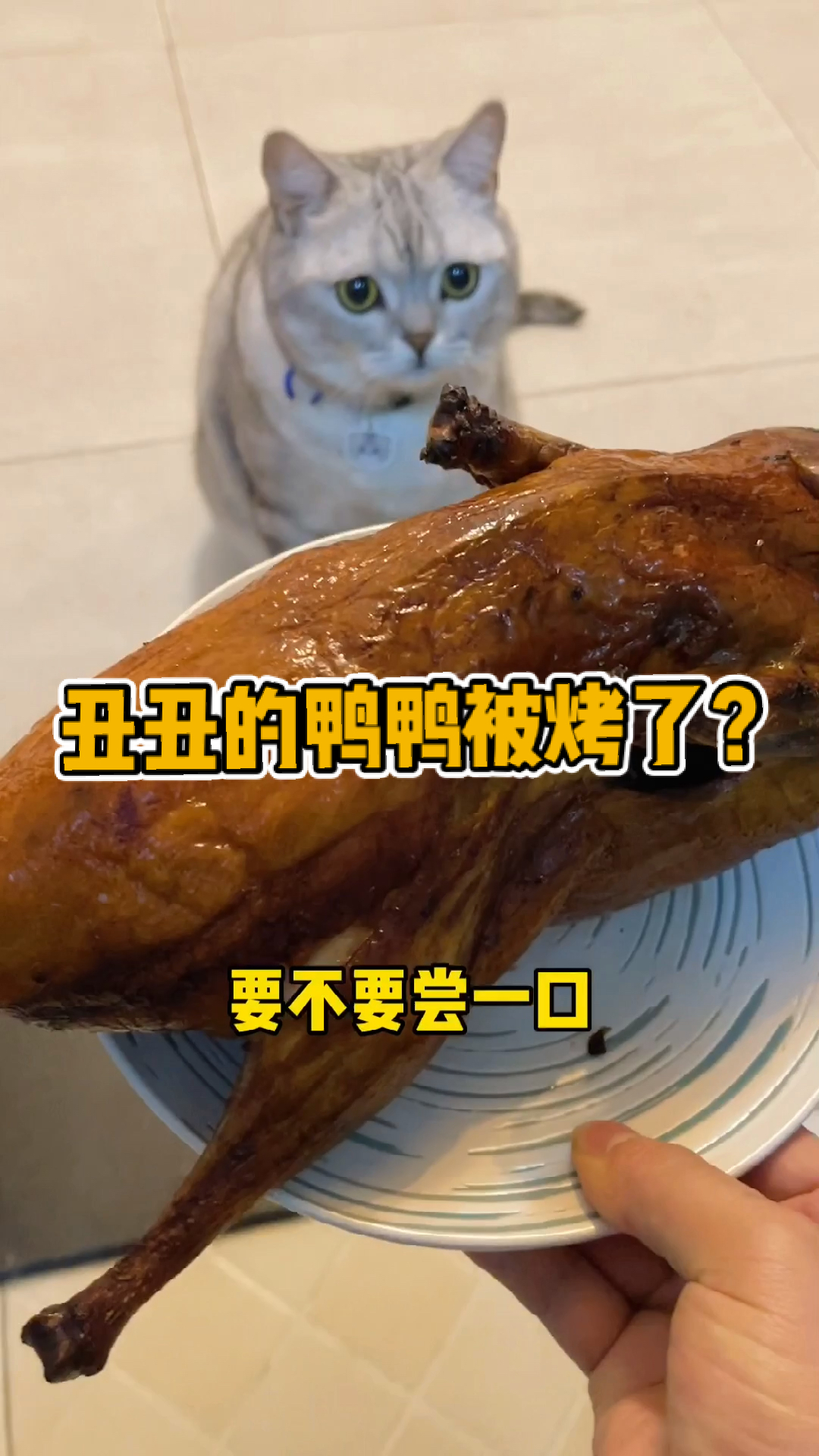 #我家萌宠成精了#当我把猫咪的鸭子做成了烤鸭……