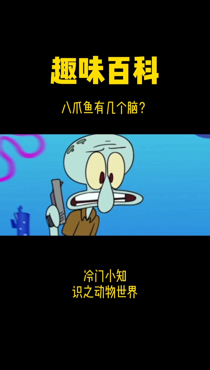 #每天一点冷知识#关于“章鱼哥”的小知识