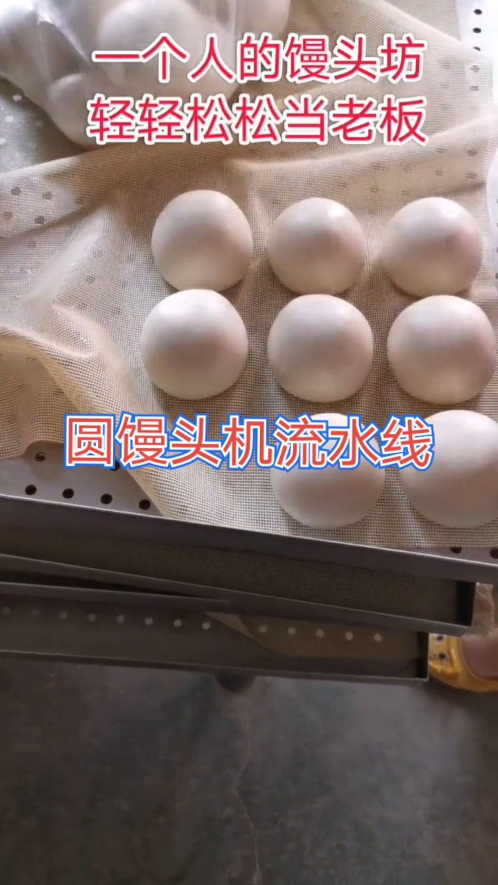 #全套馒头设备#