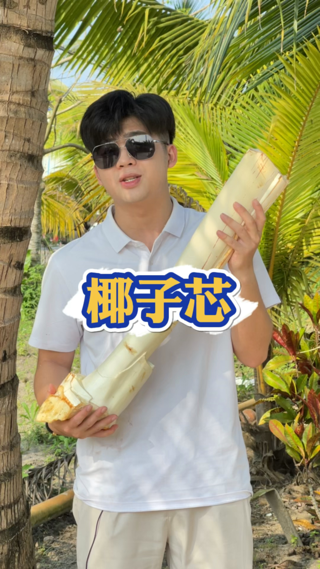 #嗲嗲的椰子鸡#椰子芯很难得，五年椰子树就这么一点，没想到取椰子芯会这么繁琐