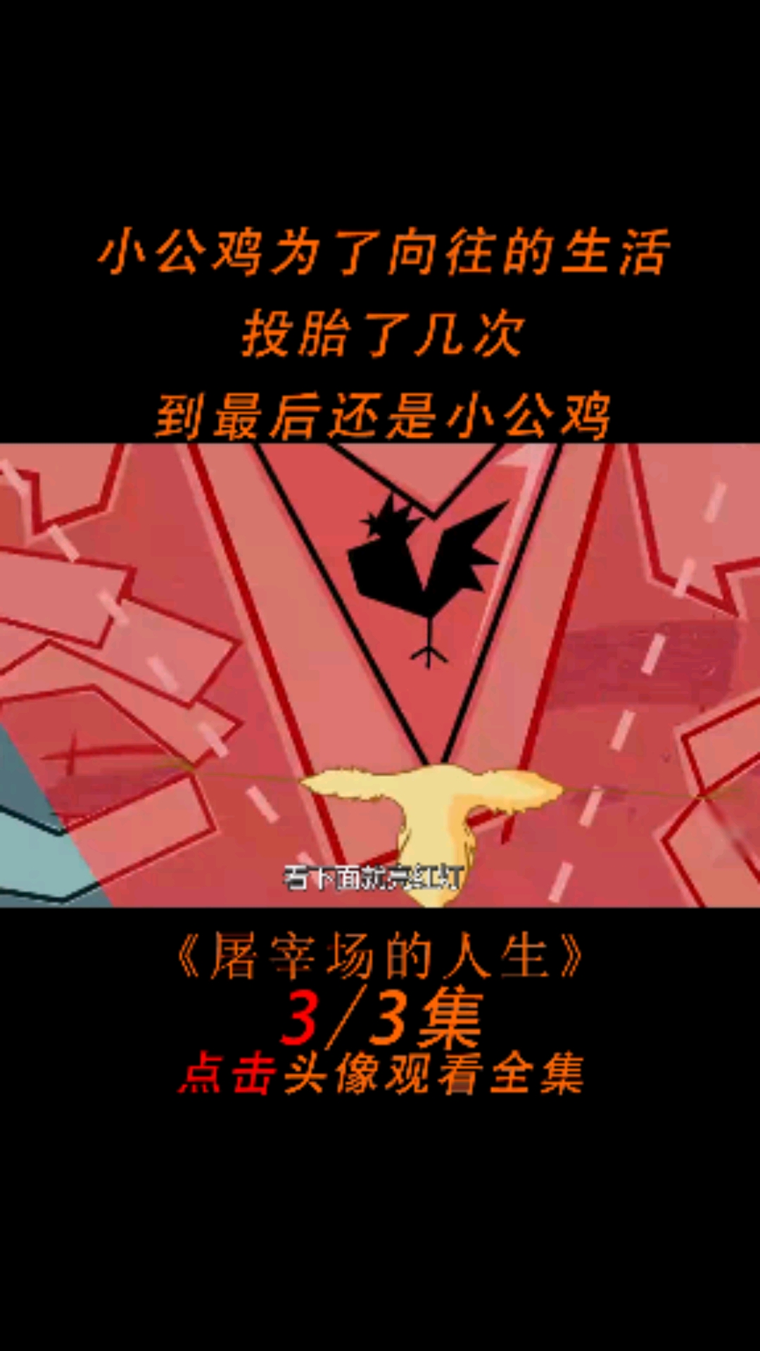 小鸡为了向往的生活,投胎了几次,到最后也没能改变命运