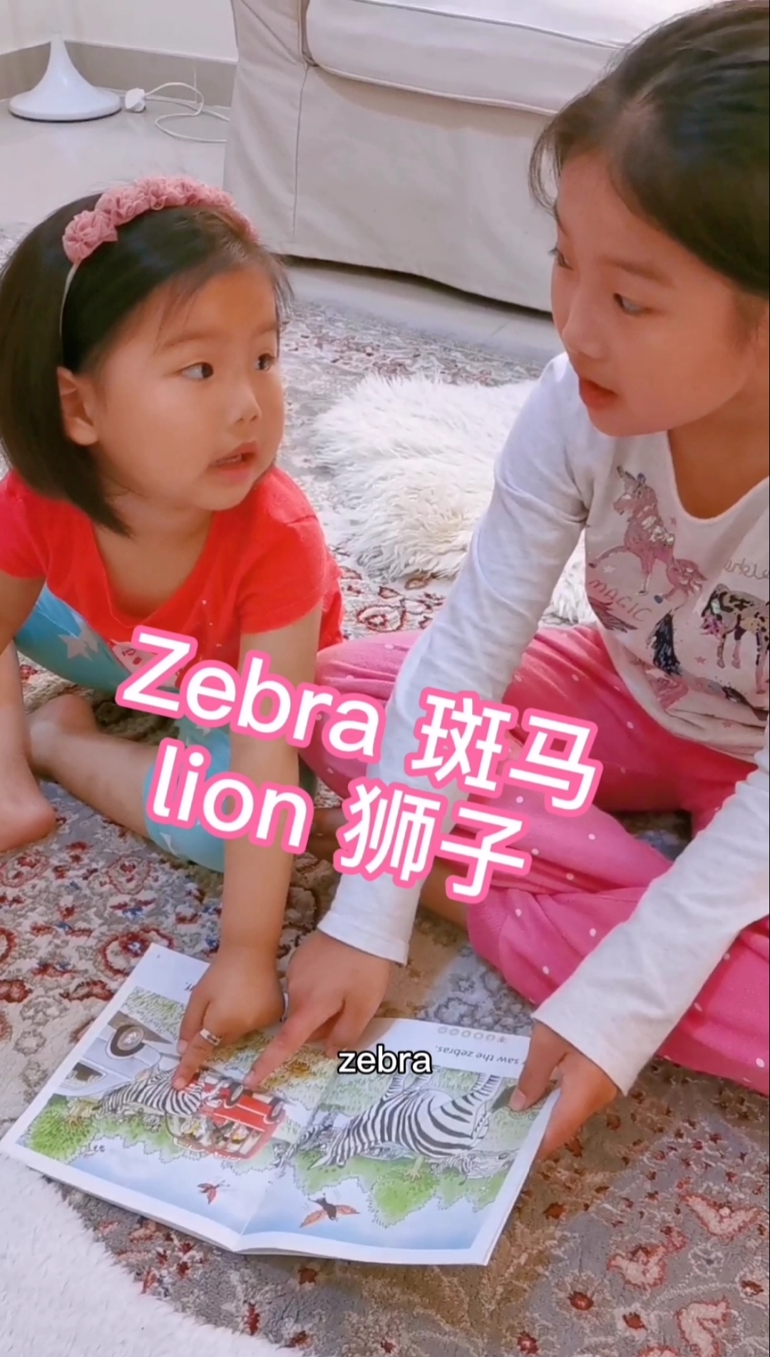 #独竖一知##好知识#动物园里的动物们,英语中文都知道怎么说吗?双语宝贝互相学习,相互促进