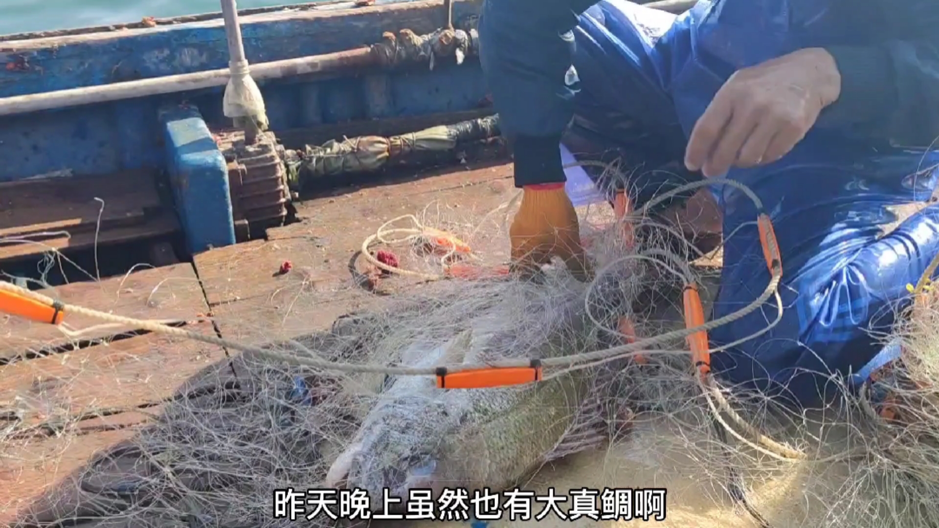 #南澳岛#广东小伙外海偶遇大黑鲷鱼群,一下上了近20条,还有一条6斤重大真鲷(下)